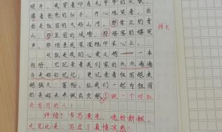 我的心爱之物400字左右