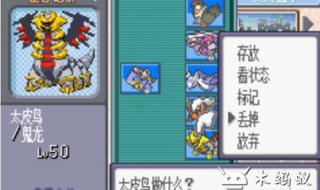 口袋妖怪绿宝石386攻略 口袋妖怪绿宝石386攻略