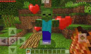 我的世界怎么驯服僵尸