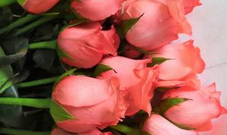 你为我着迷国语版全集 你为我着迷国语版全集