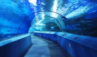 南京海底世界门票价格