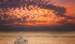 云和山的彼端图文攻略 云和山的彼端图文攻略