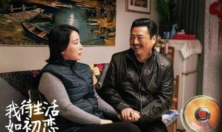 闫妮张嘉译主演的新剧 闫妮张嘉译主演的新剧