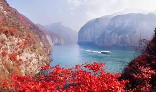 重庆长江三峡游轮旅游