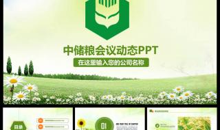 中国储备粮管理总公司