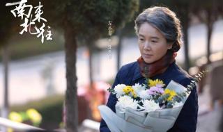 电视剧南来北往大结局