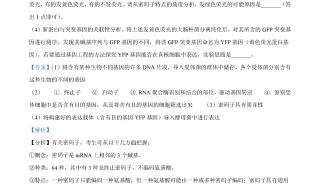 全国乙卷理综最高分 全国乙卷理综最高分