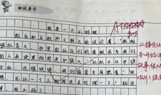 我是一只蚂蚁变形记作文 我是一只蚂蚁变形记作文