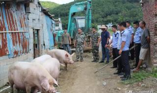 农管执法是干什么的工作