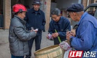 二月初八是佛教什么日子