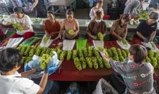 土地试点收回是真还是假