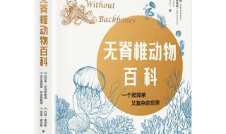 无脊椎动物中的脑力王者