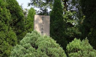 黄桥战役发生在哪一年