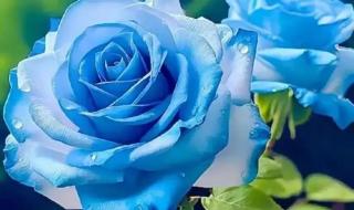 碎冰蓝适合送什么人 碎冰蓝适合送什么人