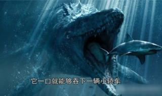 世界上真的有海怪吗