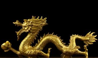 我爹是五爪金龙我是青龙 我爹是五爪金龙我是青龙