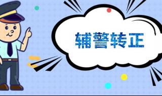 局长有权让辅警转正吗