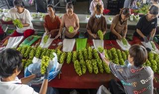 土地试点收回是真还是假