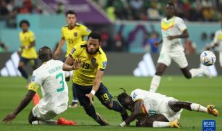 厄瓜多尔对塞内加尔预测