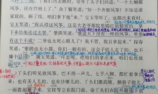 红楼春趣的笔记课堂笔记 红楼春趣的笔记课堂笔记