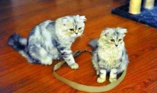 多少人走着却困在原地