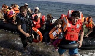 人蛇集团是什么概念 人蛇集团是什么意思