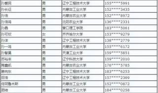 内蒙古东部电力有限公司 内蒙古东部电力有限公司