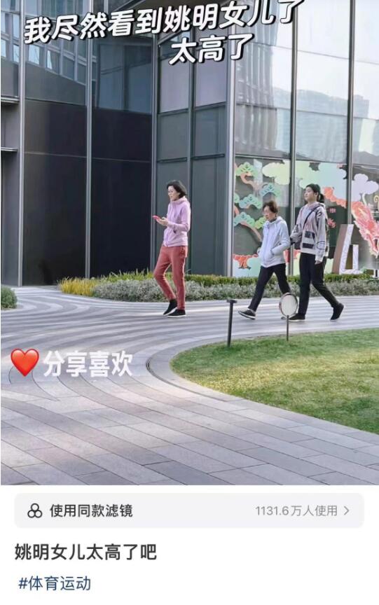 迪拜酒店多高_迪拜酒店模特_