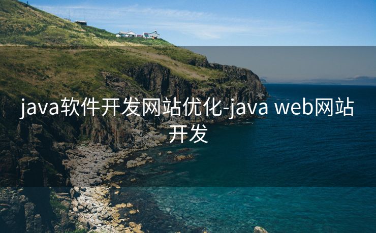 java软件开发网站优化-java web网站开发