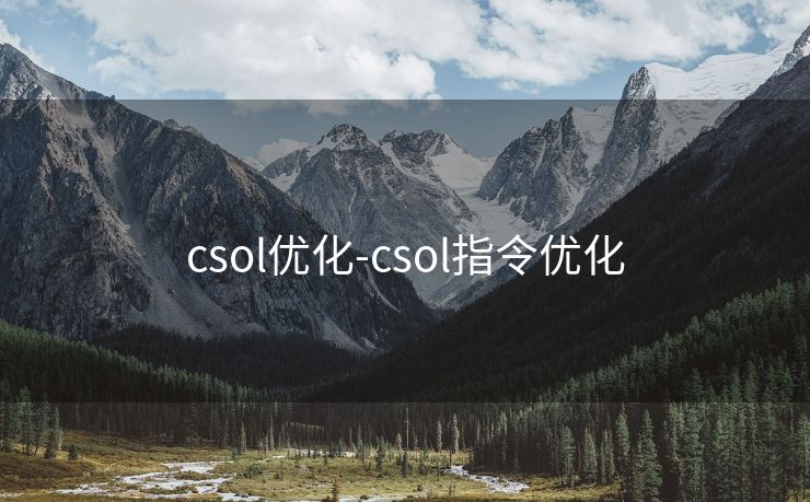 csol优化-csol指令优化