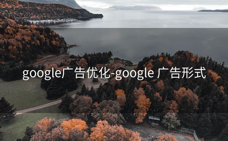 google广告优化-google 广告形式