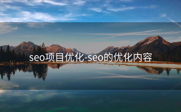 seo项目优化-seo的优化内容