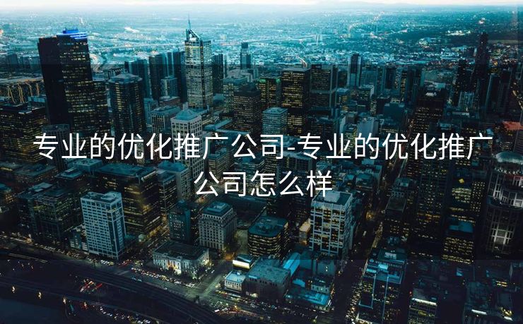 专业的优化推广公司-专业的优化推广公司怎么样