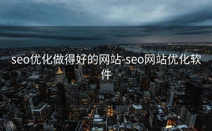 seo优化做得好的网站-seo网站优化软件