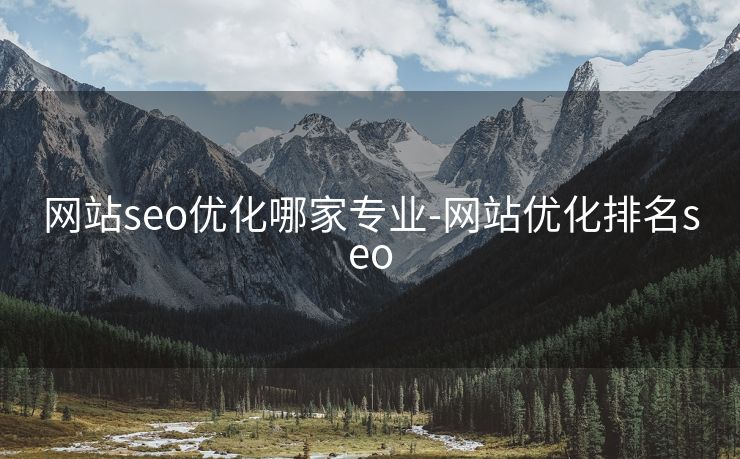 网站seo优化哪家专业-网站优化排名seo
