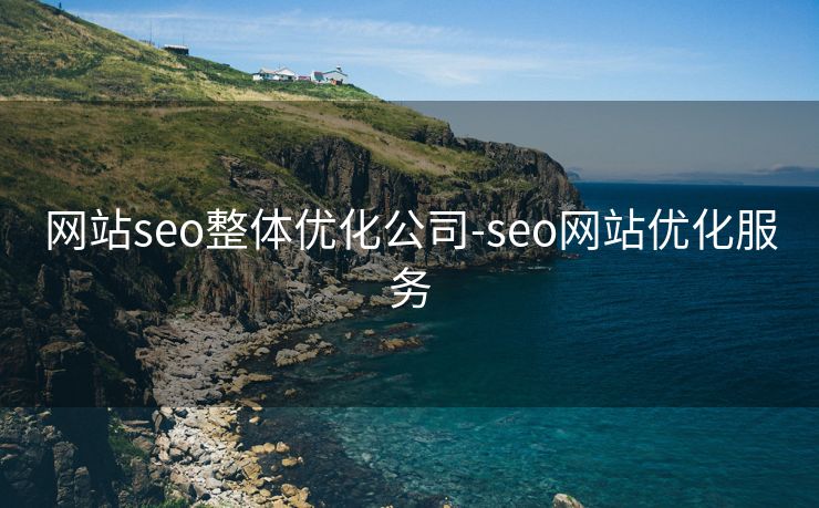 网站seo整体优化公司-seo网站优化服务