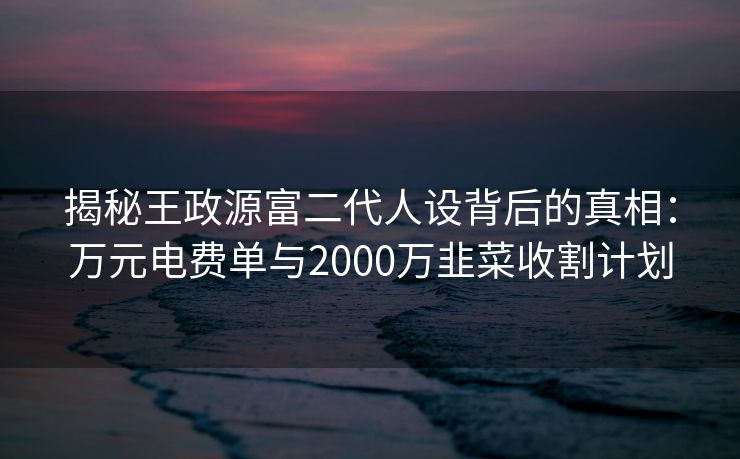 揭秘王政源富二代人设背后的真相:万元电费单与2000万韭菜收割计划 揭秘王政源富二代人设背后的真相:万元电费单与2000万韭菜收割计划