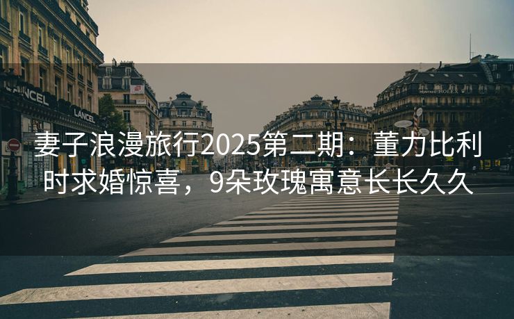 妻子浪漫旅行2025第二期：董力比利时求婚惊喜，9朵玫瑰寓意长长久久