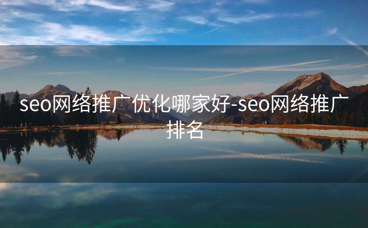 seo网络推广优化哪家好-seo网络推广排名