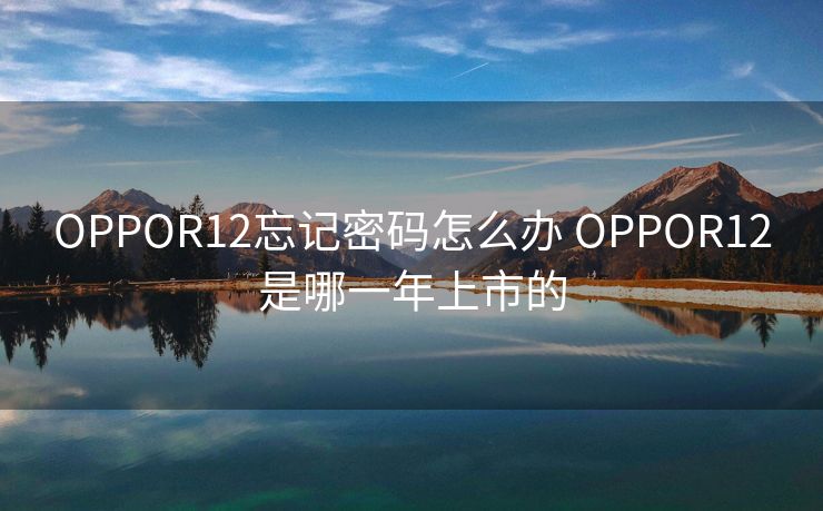 OPPOR12忘记密码怎么办 OPPOR12是哪一年上市的 OPPOR12忘记密码怎么办 OPPOR12是哪一年上市的