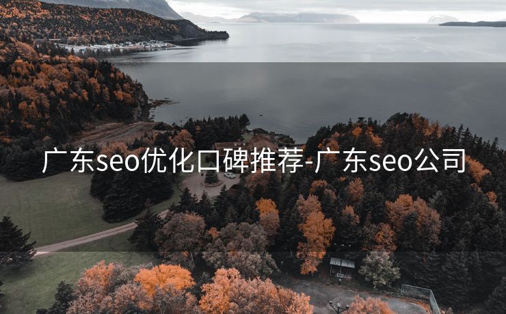 广东seo优化口碑推荐-广东seo公司