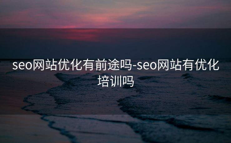 seo网站优化有前途吗-seo网站有优化培训吗