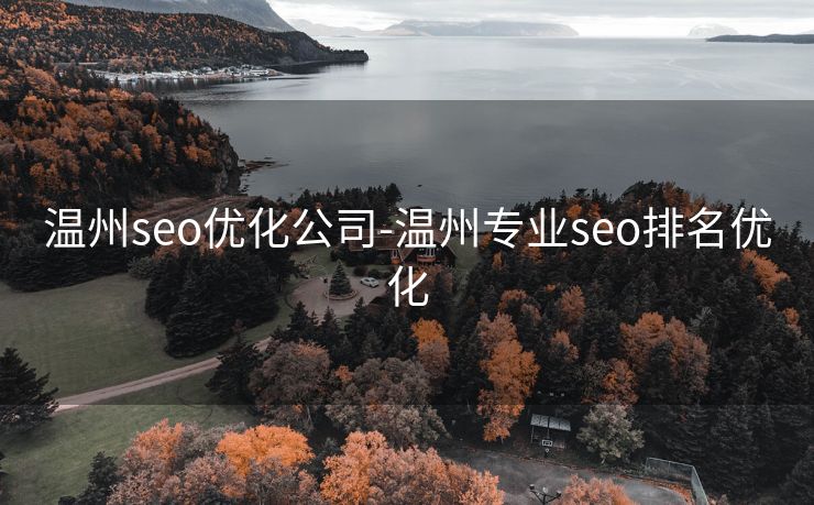 温州seo优化公司-温州专业seo排名优化