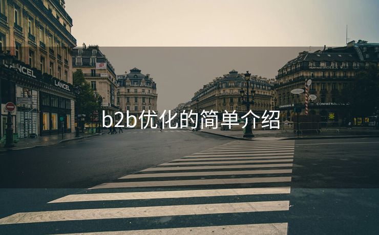 b2b优化的简单介绍