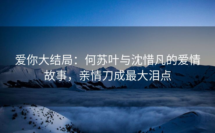 爱你大结局:何苏叶与沈惜凡的爱情故事,亲情刀成最大泪点 爱你大结局:何苏叶与沈惜凡的爱情故事,亲情刀成最大泪点