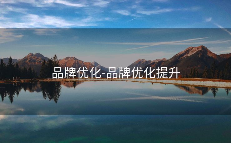 品牌优化-品牌优化提升