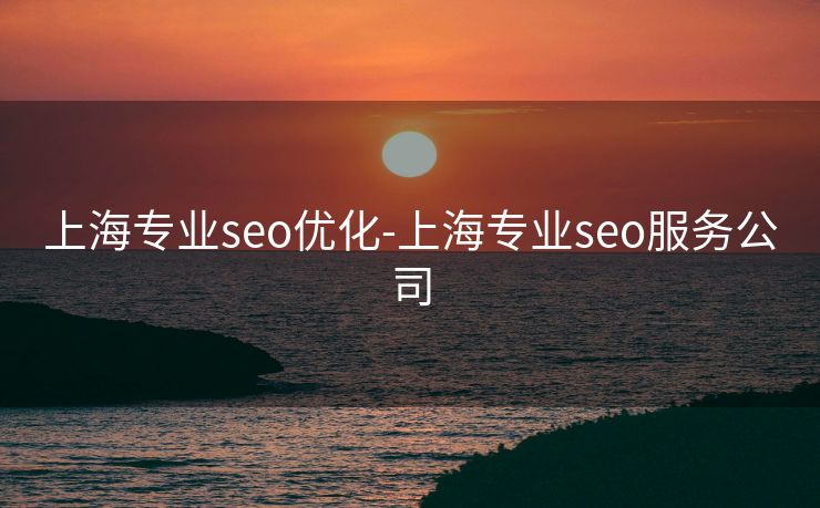 上海专业seo优化-上海专业seo服务公司 上海专业seo优化-上海专业seo服务公司