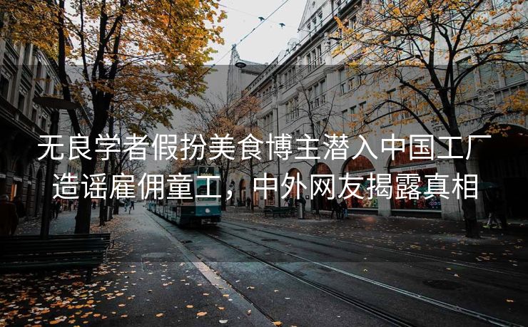 无良学者假扮美食博主潜入中国工厂造谣雇佣童工,中外网友揭露真相 无良学者假扮美食博主潜入中国工厂造谣雇佣童工,中外网友揭露真相