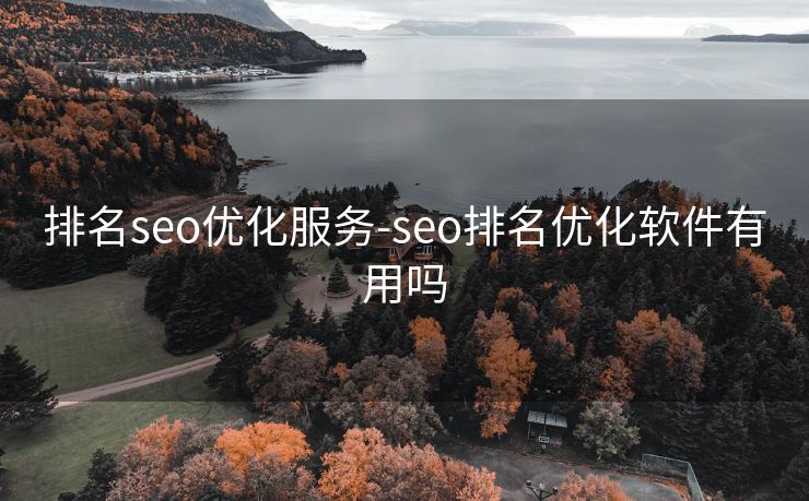 排名seo优化服务-seo排名优化软件有用吗 排名seo优化服务-seo排名优化软件有用吗