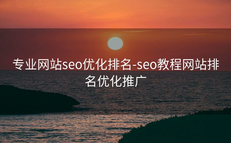 专业网站seo优化排名-seo教程网站排名优化推广